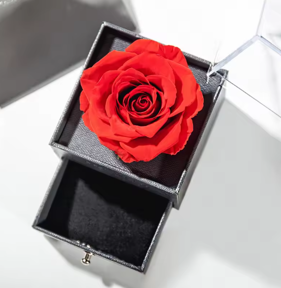Heart Shaped Necklace with Gift Box